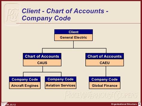 Sap Fi Organization Structure