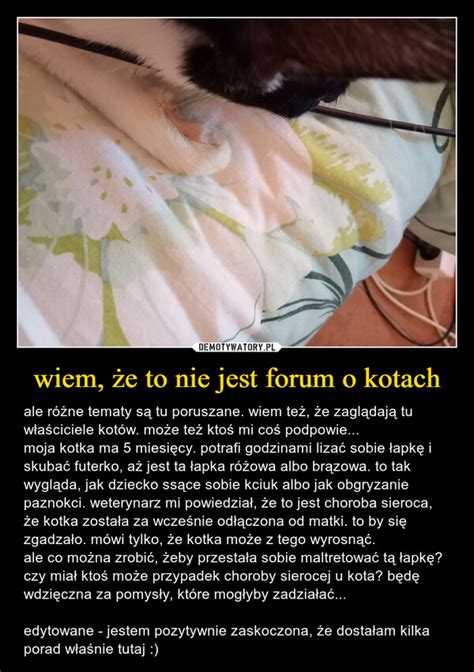 wiem że to nie jest forum o kotach Demotywatory pl