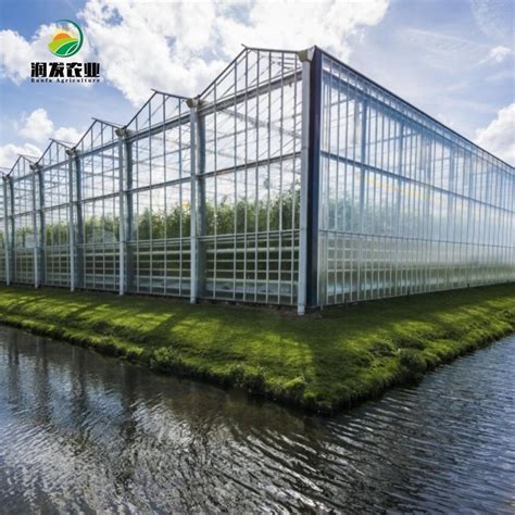 Glass Greenhouse With Continuous Rack And Pinion Vent System China