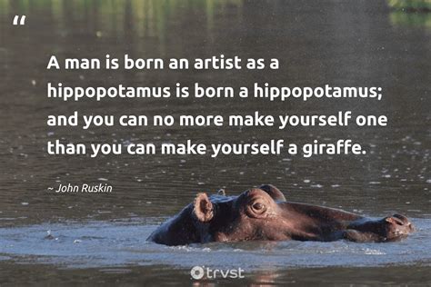 12 Hippo Quotes About The Humongous River Horse