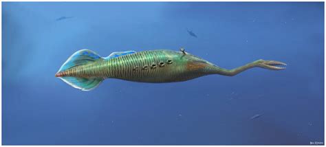 The Tully Monster Tullimonstrum The Natural Canvas