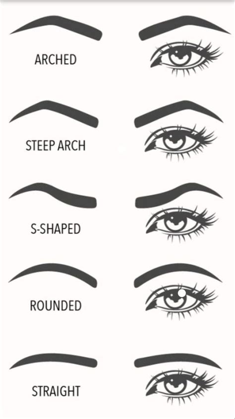 Eyebrow Visual Guide Choose Which Eyebrow Shape Suits You Eyebrow