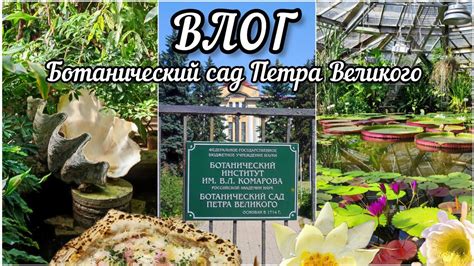 БОТАНИЧЕСКИЙ САД ПЕТРА ВЕЛИКОГО. ТРОПИКИ В САНКТ-ПЕТЕРБУРГЕ 🌴 - YouTube