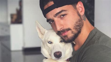 Llovieron Críticas A Maluma Por Sacarse Una Foto Con Un Cachorro De