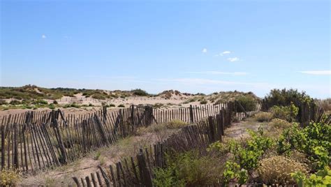 L escapade dans le biterrois Le site naturel des Orpellières à