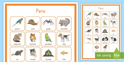 Pets Word Mat (Teacher-Made)