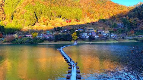 Rekomendasi Destinasi Wisata Alam Di Tokyo Tokyo Travel Spesialis