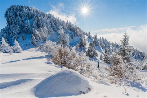 Webcams Lans-en-Vercors - Webcam Lans-en-Vercors