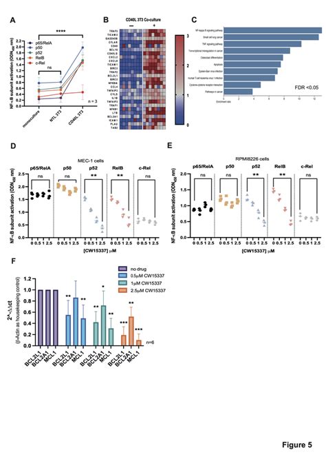 Targeting The Non Canonical Nf κb Pathway In Chronic Lymphocytic