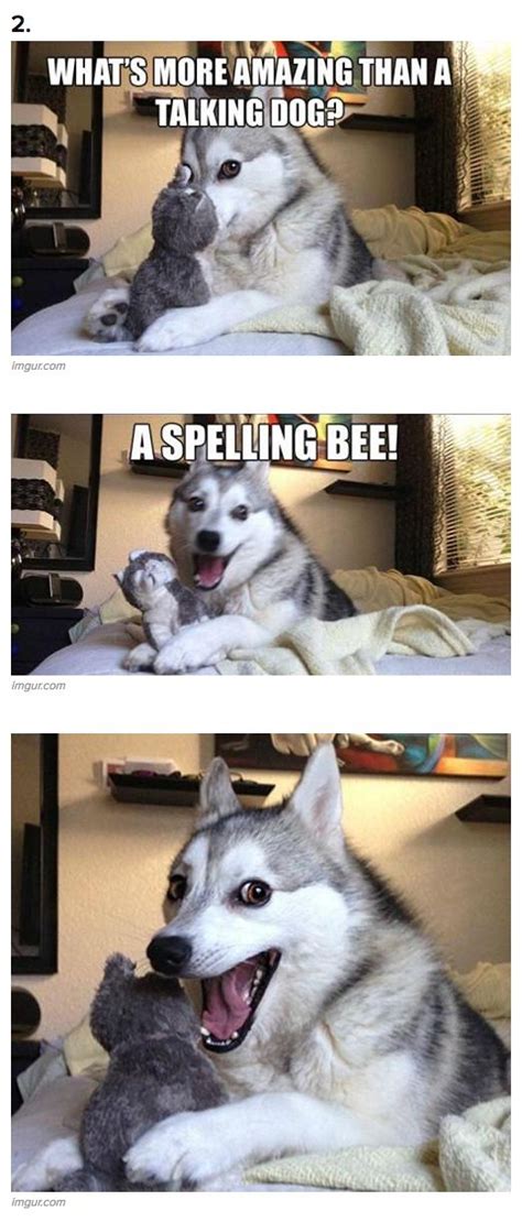 89 best Husky meme images on Pinterest