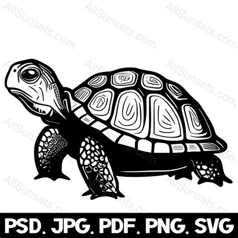 Turtle Silhouette Svg Png Psd  Pdf File Types Box Tortoise Land