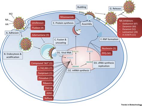 Next Generation Sequencing An Eye Opener For The Surveillance Of Antiviral Resistance In