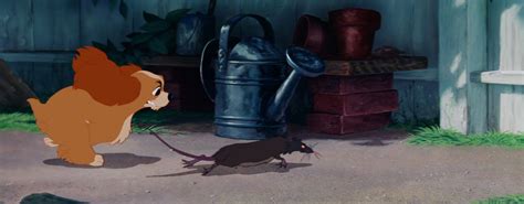 Image Lady Tramp Disneyscreencaps Com 821 Disney Wiki Fandom