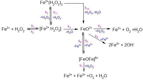 Introductory Chapter Role Of Fenton And Haber Weiss Reaction In