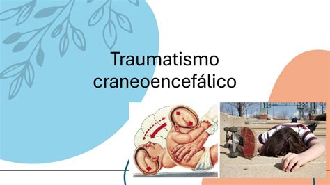 Traumatismo Craneoencef Lico J Z Udocz