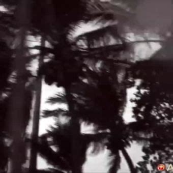 Asiansexdiary Nude Leaks Onlyfans Photo 49 Leaked Models My XXX Hot Girl