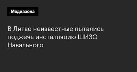 В Литве неизвестные пытались поджечь инсталляцию ШИЗО Навального