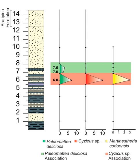 Stratigraphic Distribution Of The Fossil Associations Given As Total Download Scientific