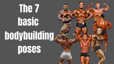 Share 146 Basic Bodybuilding Poses Best Nanoginkgobilobavn