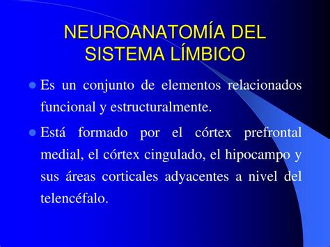 Ppt NeurobiologÍa De Las Adicciones Powerpoint Presentation Free Download Id 232229