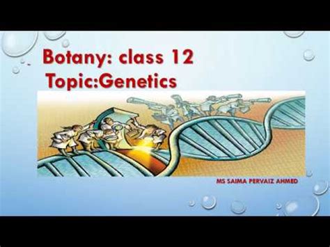 Botany Genetics Youtube