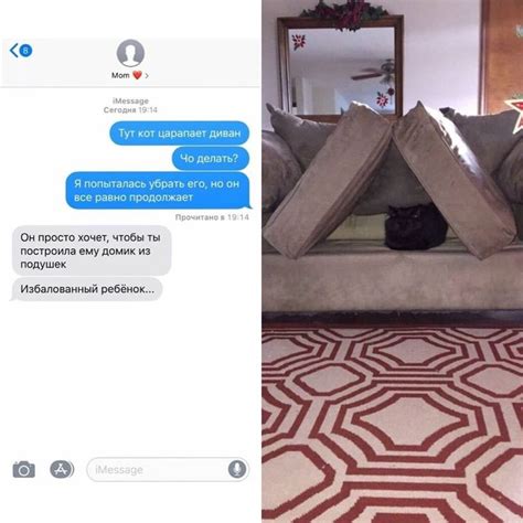 Улыбка от котиков | Home decor, Decor, Rugs