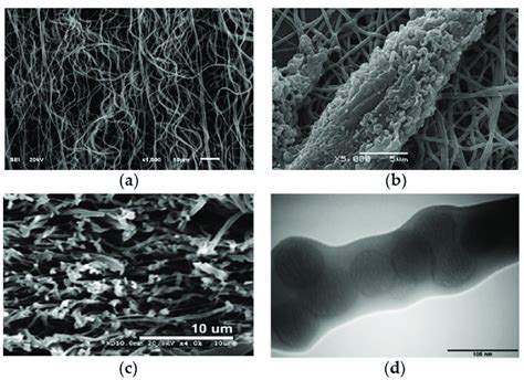 Sem Images Of Different Composite Nanofibers For Various Biomedical