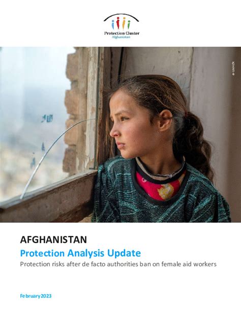 Afghanistan Protection Analysis Update Global Protection Cluster