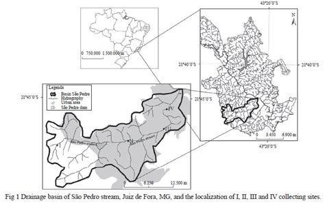 SciELO Brasil - Evaluation of water quality of an urban stream in ... 