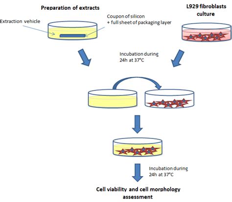 Scheme Of The Cytotoxicity Test By The Extraction Method Of Iso 10993 5