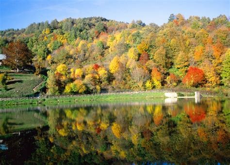 Gli 8 posti più belli per ammirare il foliage in Italia