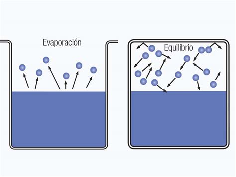 Todo Lo Que Debes Saber Sobre Fluidos Revista Cero Grados