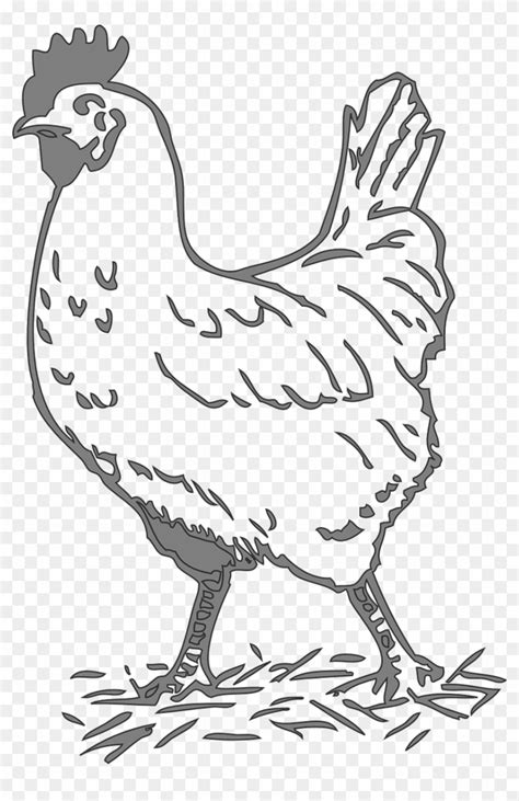 Hen Png Clip Art Black And White Hen Transparent Png 856x1280