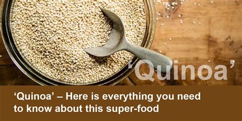 Quinoa Everything We Need To Know Realnewsofus