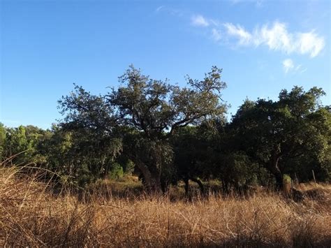 Quintas E Casas R Sticas Quinta T Venda Em Coruche Fajarda E Erra