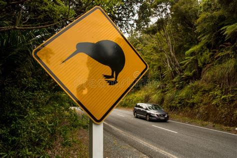 Panneau Routier De Croisement De Kiwi Photo Stock Image Du Oiseau