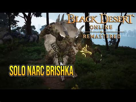 Steam Community Video FR Black Desert Online Archer Solo