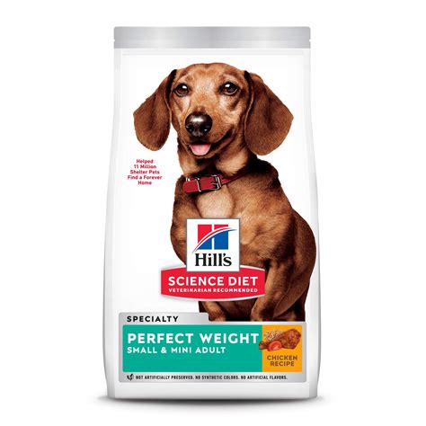 Best High Fiber Dog Food for Small Breeds: Nutrition Guide
