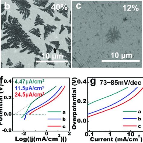 Her Activity Of Dendritic Monolayer Mos Flakes Transferred Onto Au