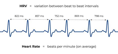 Heart Rate Variability Does It Matter Tres Care