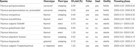 Phenotype Survey Results Of Three Chinese Wild Thymes And Seven Download Scientific Diagram