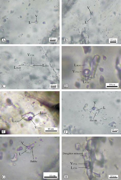 Photomicrographs Of Fluid Inclusions In Quartz And Calcite From The