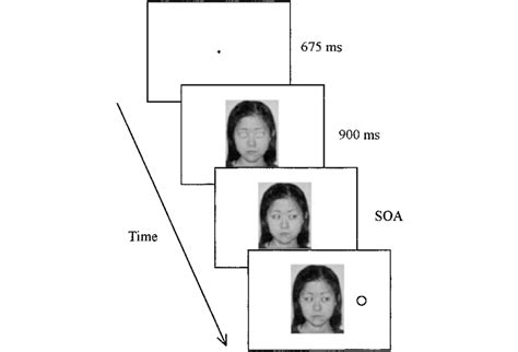 Schematic Depiction Of A Typical Sequence Of Events Within One Trial