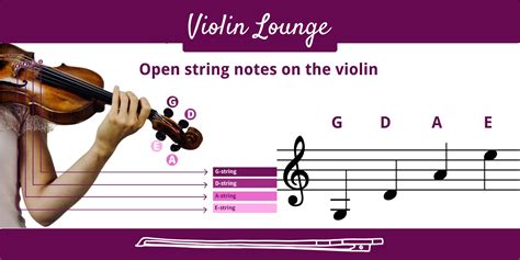 Strings On The Violin Explained Easy Guide For Newbies Violin Lounge