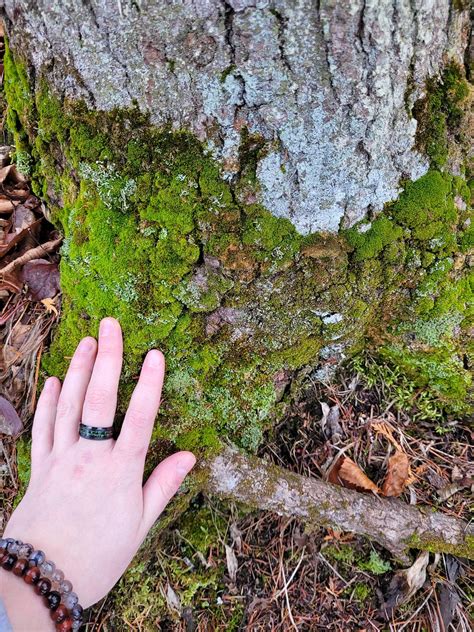 The Ultimate Guide to Elle Astrology for Women - Discover Your Inner Self