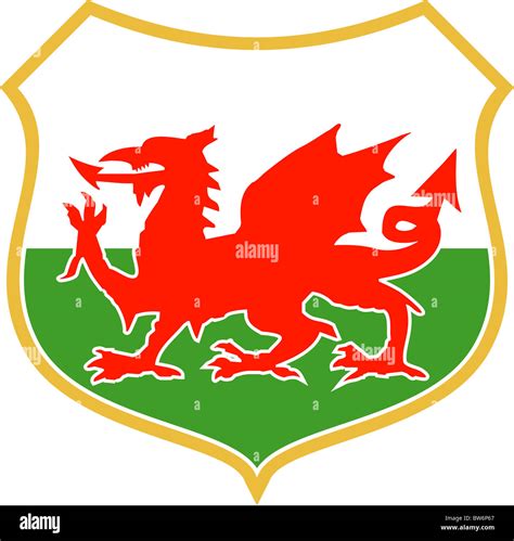 Illustration Of A Red Welsh Wales Dragon With Shield Emblem Coat Of