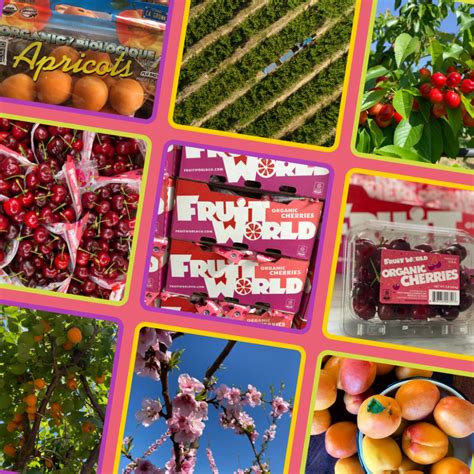 Fruit World kicks off stone fruit season in California