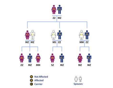 Alpha 1 Genetics Alphanet