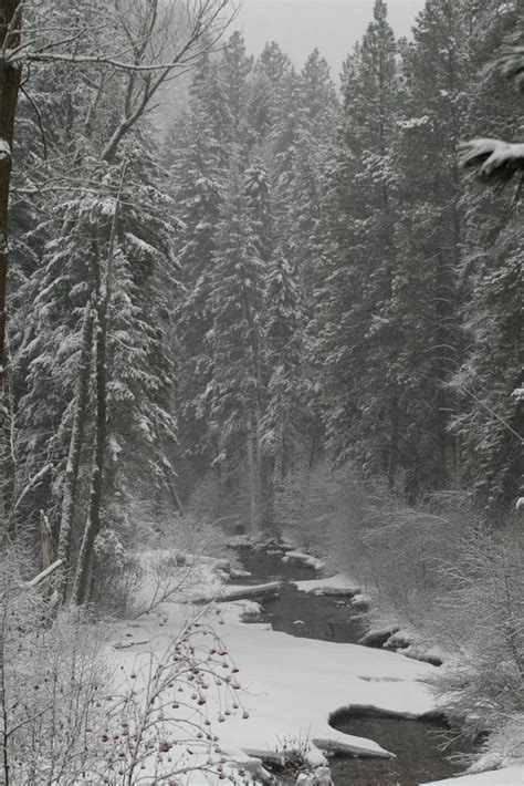 Rattlesnake Creek Missoula Montana Rattlesnake Creek Win Flickr