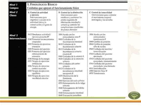 Nic Clasificación De Las Intervenciones En Enfermería